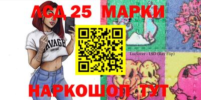 индика Обнинск