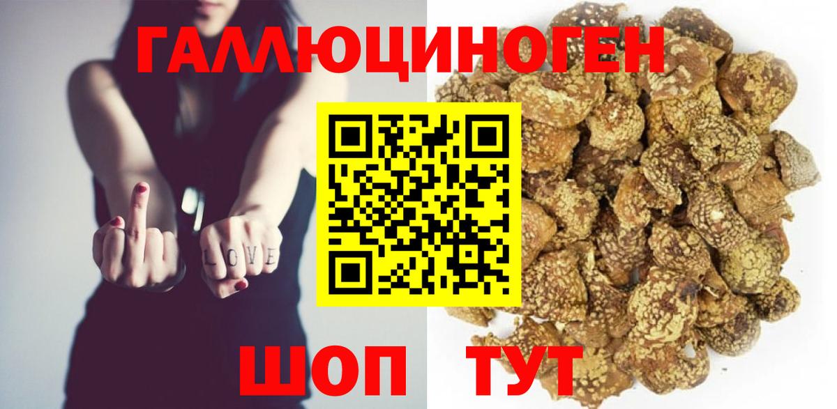 Галлюциногенные грибы Cubensis  Вход с VPN  Саянск 